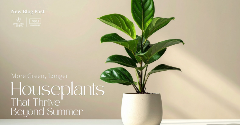 More Green, Longer: Houseplants That Thrive Beyond Summer